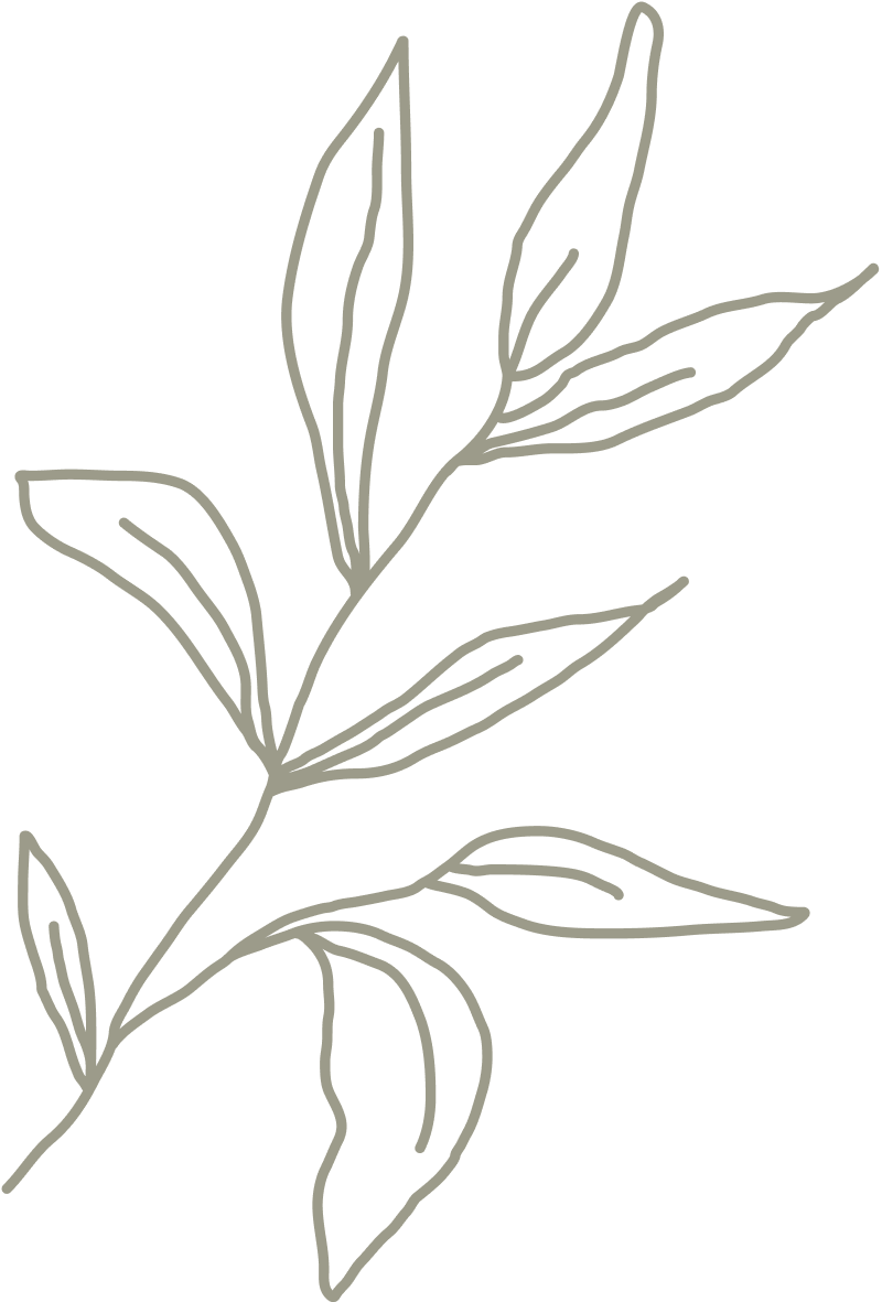 wellness-1